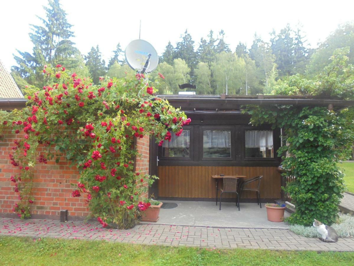 Bergfreiheit Villa Schierke Exteriör bild